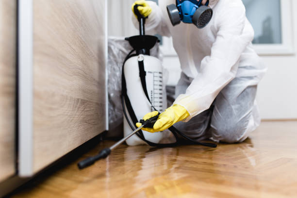 Best Local Pest Control Services  in Gasport, NY