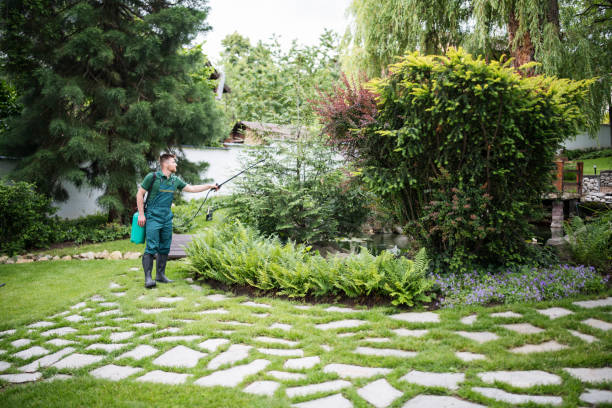 Best Pest Removal Services  in Gasport, NY