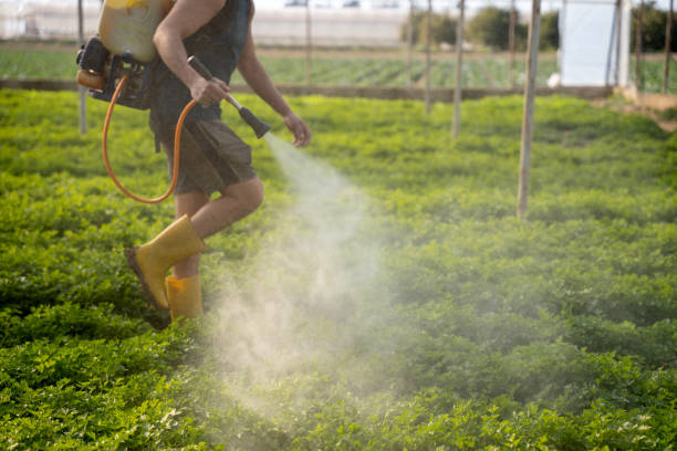 Best Mosquito Control Services  in Gasport, NY