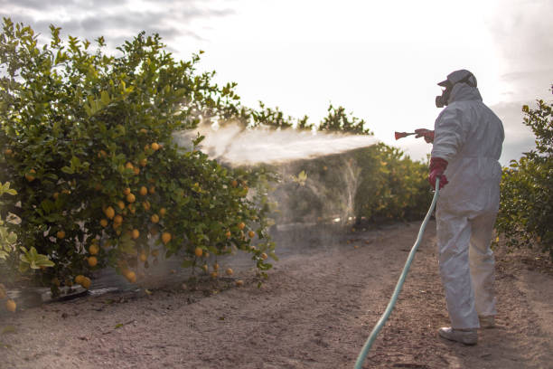 Best Best Pest Control Companies  in Gasport, NY