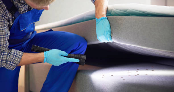 Best Mosquito Control Services  in Gasport, NY