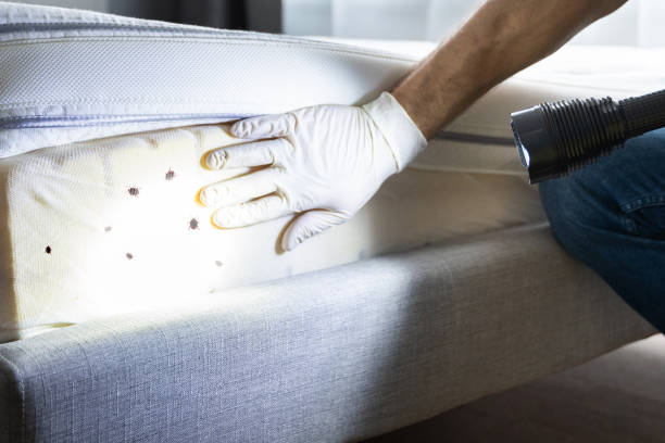 Best Pest Control Near Me  in Gasport, NY