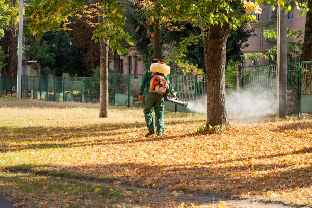 Wildlife Control Services in Gasport, NY
