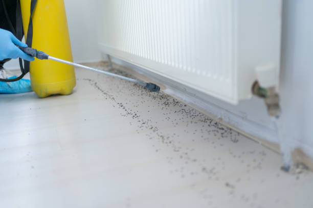 Best Wildlife Control Services  in Gasport, NY