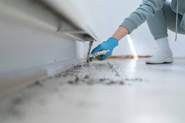 Pest Control Cost in Gasport, NY