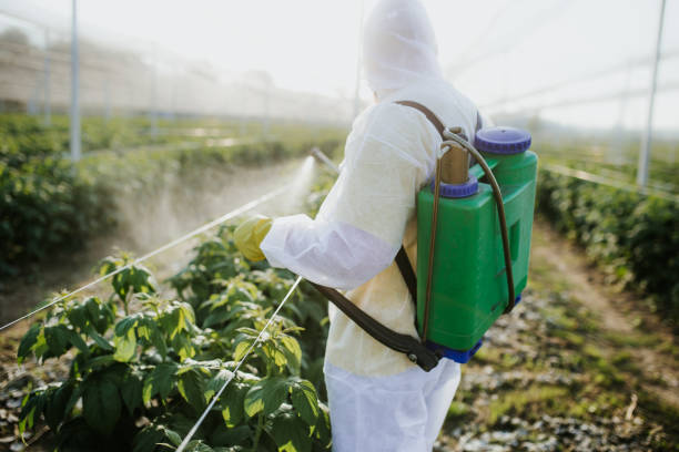 Best Pest Removal Services  in Gasport, NY